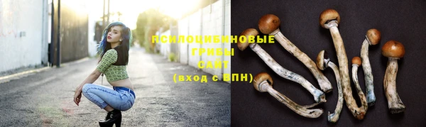 PSILOCYBIN Абаза
