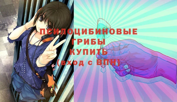 spice Рославль