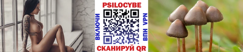 хочу наркоту Инта Галлюциногенные грибы мицелий